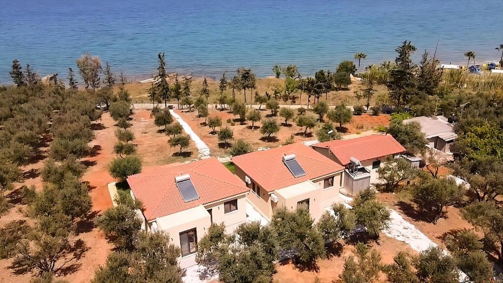 Terra Blue Suites - Dimitra - B&B