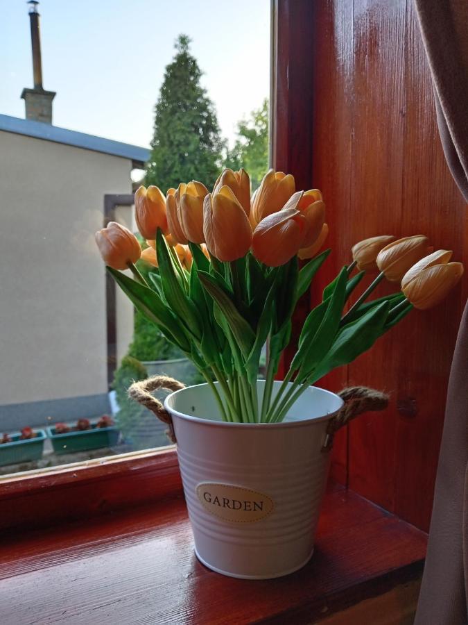 Apartman IVANA - Ferienwohnung Vrdnik