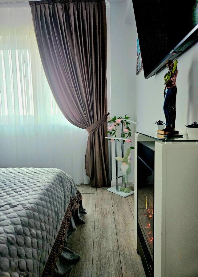 One-Bedroom Apartment with View