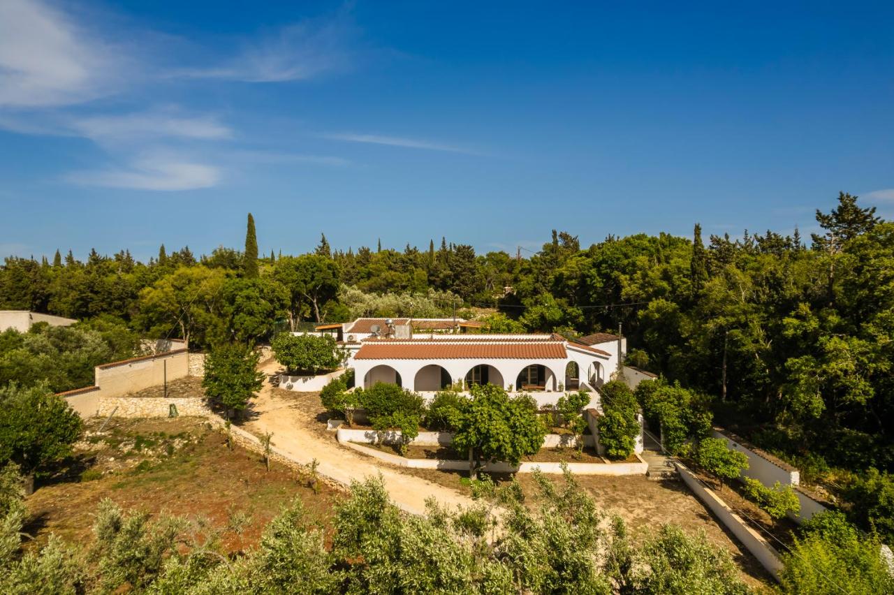 Villa Noi - Zoi The Studio - B&B