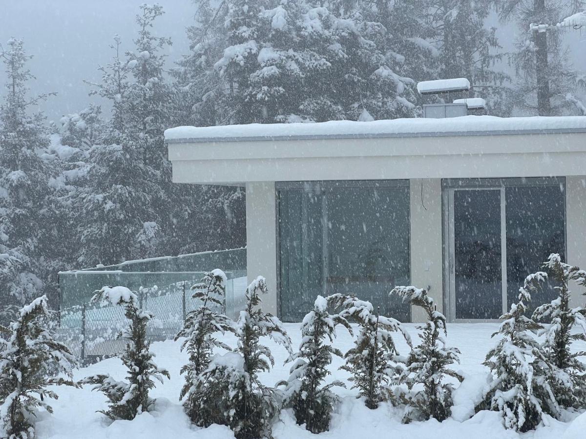 Chalet Tschattlhof Dolomites - B&B