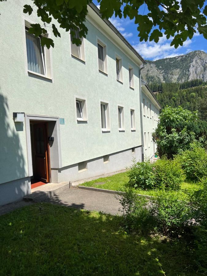 Eisenerz Alpine Apartement RoSy - Bed and Breakfast