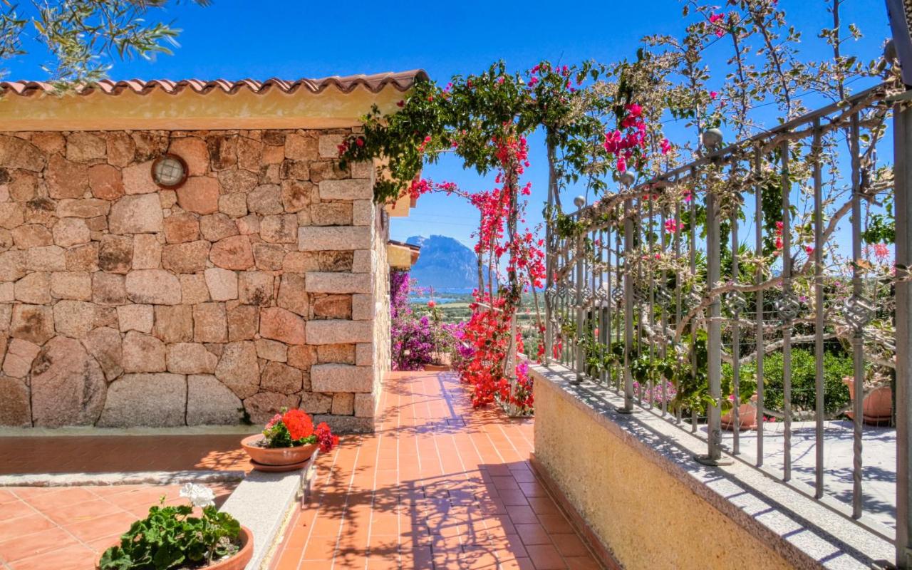 La Suliana Apartment - Ferienwohnung