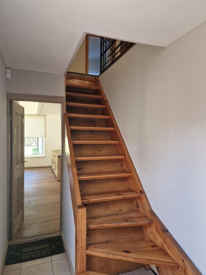 Villa Oši - B&B Roja