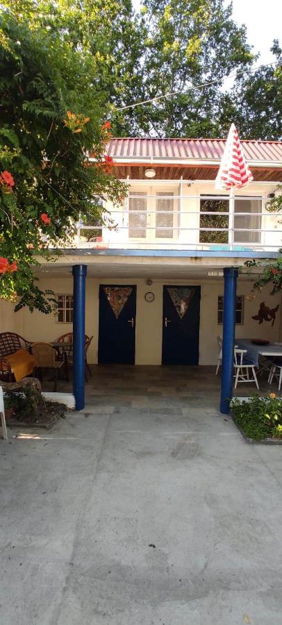Tisza 56 Vendégház - B&B Seghedino