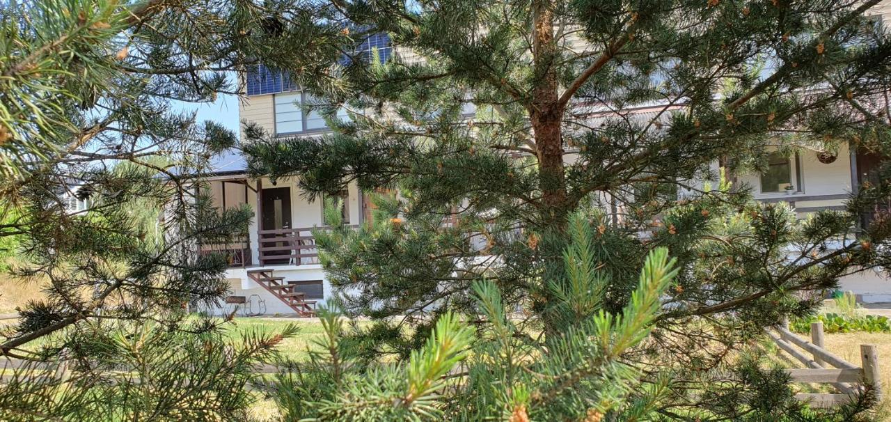 Apartamentas Kurėnas - Ferienwohnung
