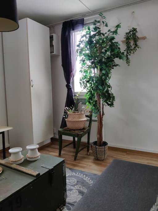 Pieni talo Torniossa - Bed and Breakfast Tornio