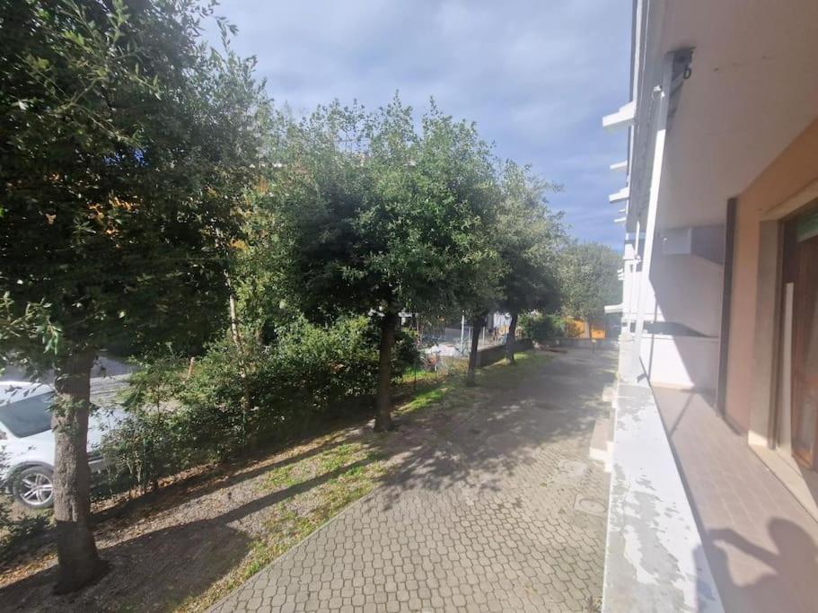 Oasi di Mare, Comfort e Relax - B&B