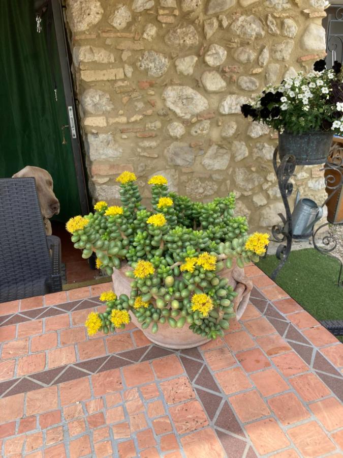 Casa Gavenniae - Bed and Breakfast