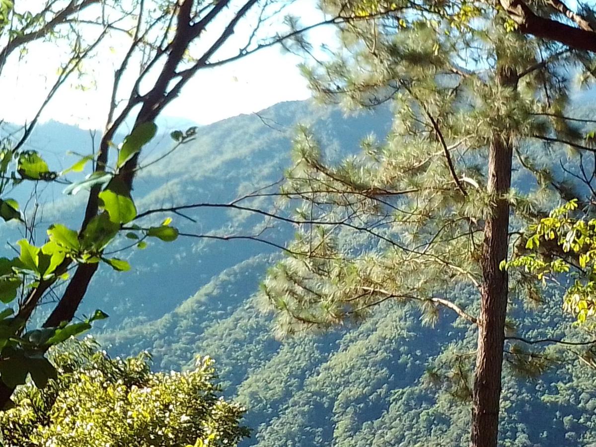 Blue Mountain Wilderness Retreat Jamaica House - B&B