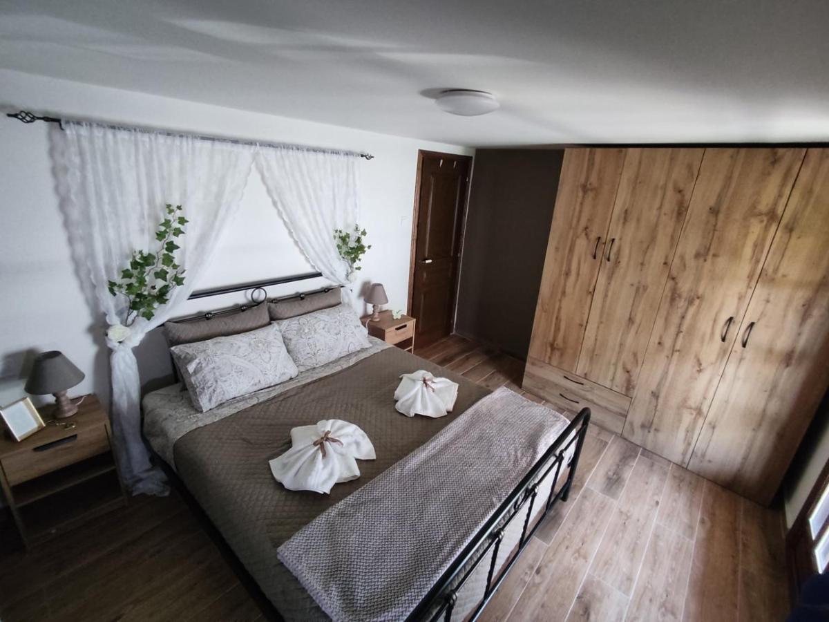 Appartement 1 Chambre
