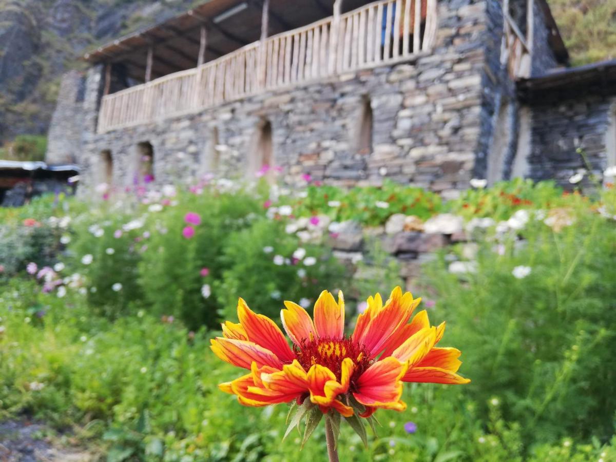 Fortress House Khakhabo - Bed and Breakfast