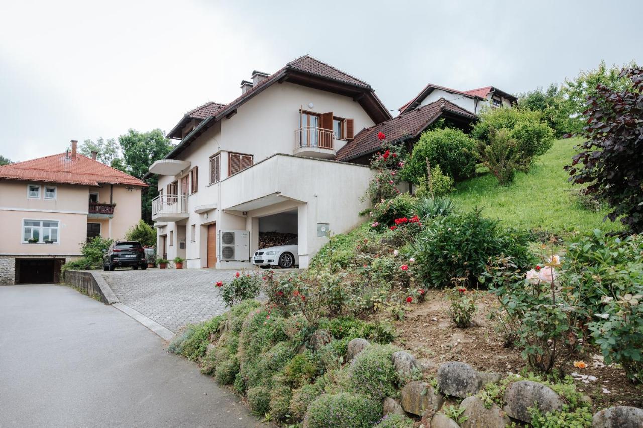 Premium house Anika - Chambres d'hôtes Rogaska Slatina