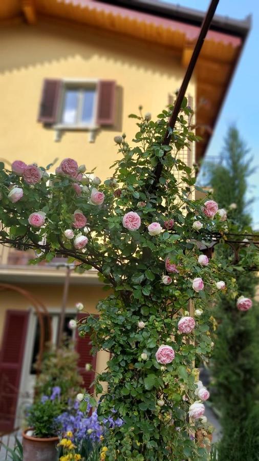 Villa Costanza Appartamento con giardino - B&B Magreglio