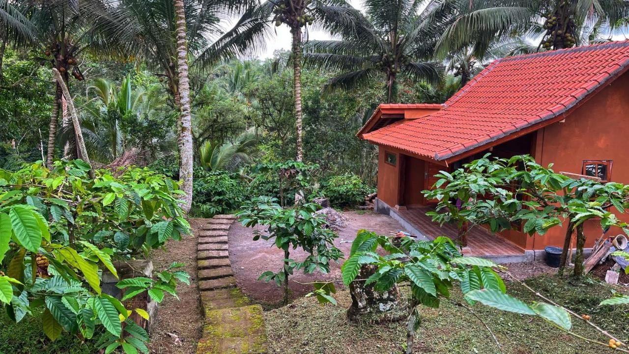 Standard Villa