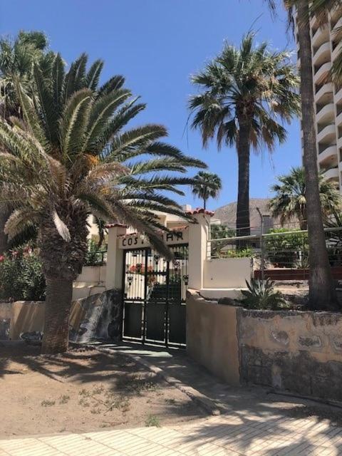 Mirador Apartment Costamar Tenerife - Chambres d’hôtes Los Cristianos