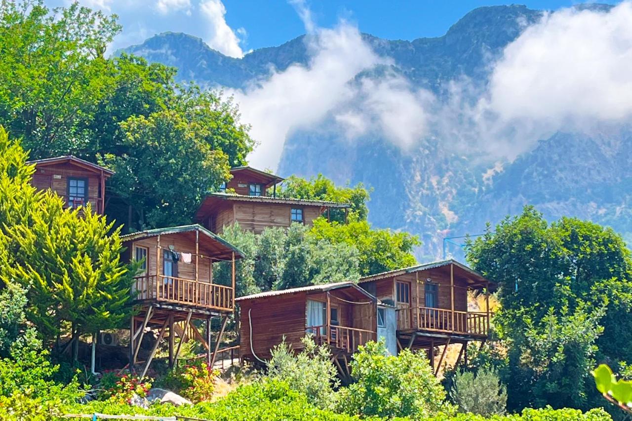Fullmoon Camp - B&B