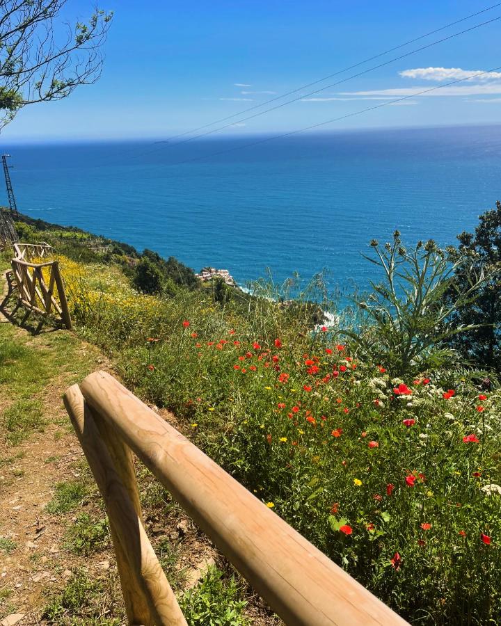 Giglio - B&B Volastra