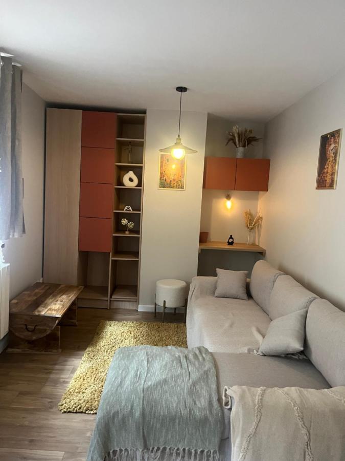 Hyper centre Grenoble - B&B Grenoble