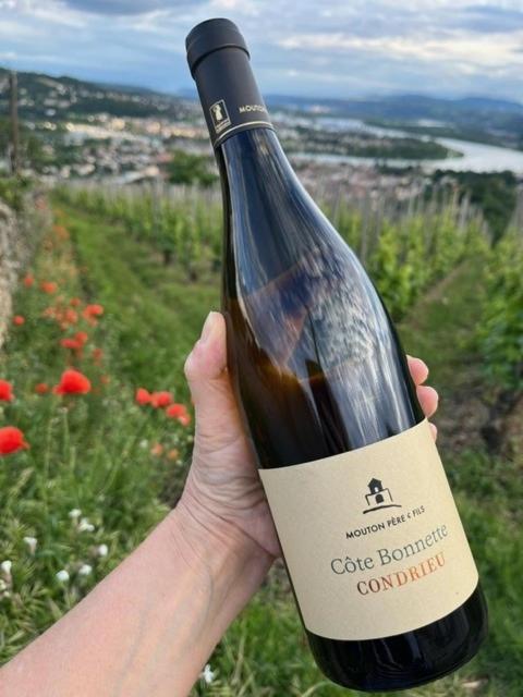 Condrieu, le Châtillon au cœur du vignoble belle vue sur vallée du Rhône - B&B