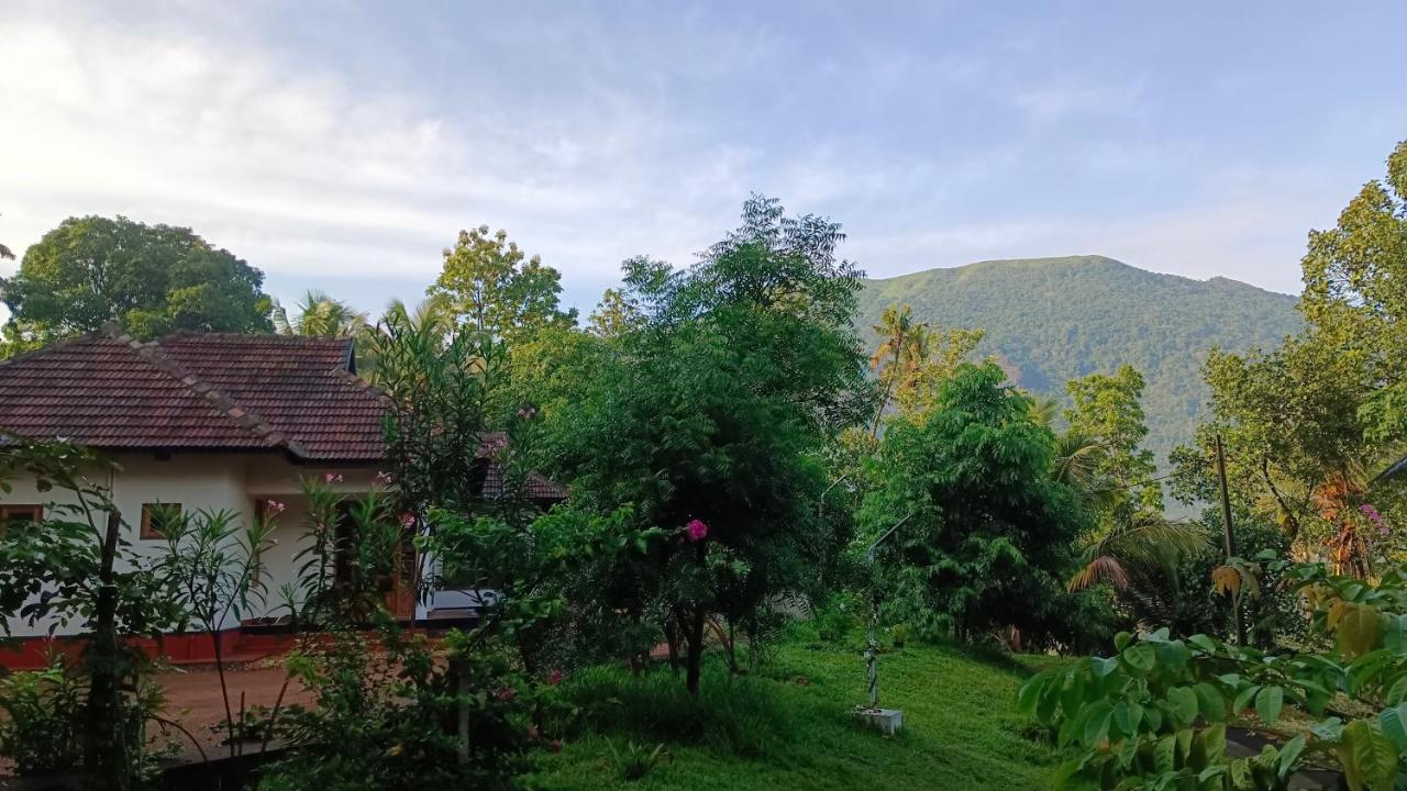 Villa with Garden View