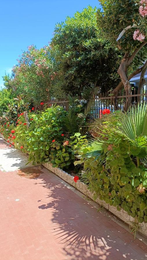 A Casa di Gisa - Fiumicino airport - Ferienwohnung Fiumicino