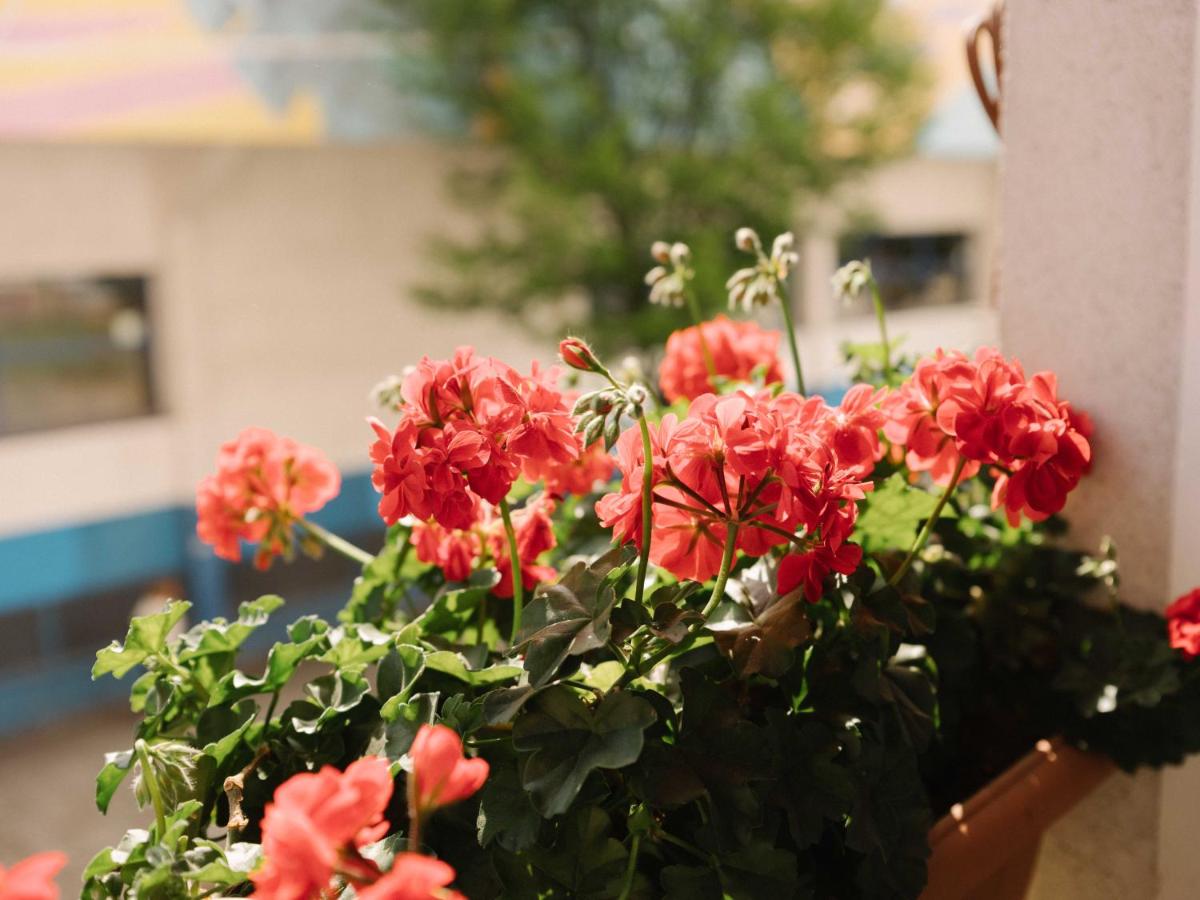 Casilla's House en Indautxu - B&B Bilbao