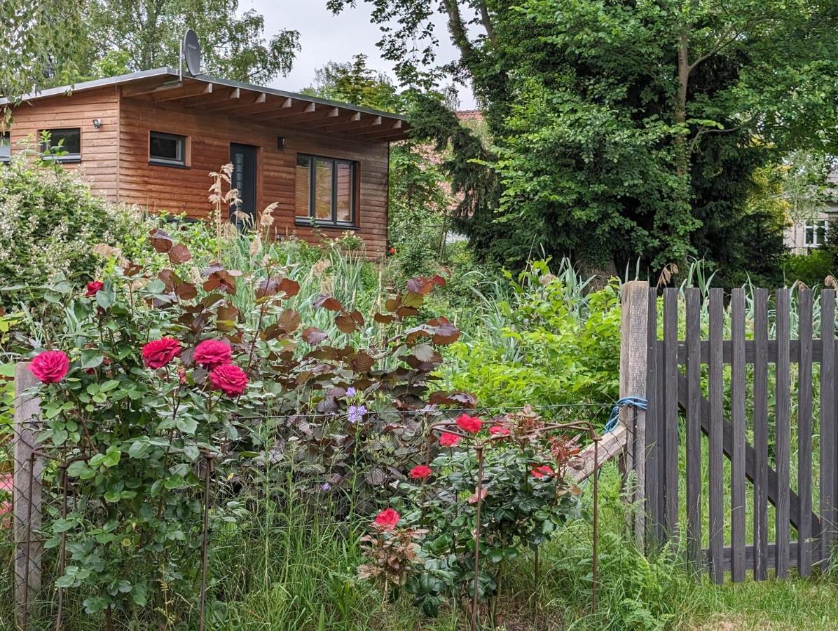 Klein aber fein, Ferienhaus am Tonteich - Chambres d’hôtes