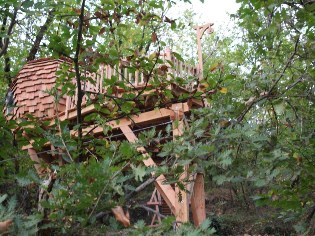 Les Ecrins de Belvedere - Chambres d’hôtes Belvédère