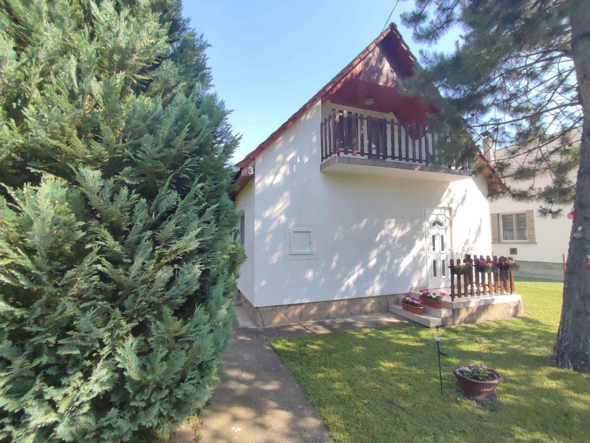 Apartment Balatonfenyves - Balaton 18389 - Ferienwohnung Balatonfenyves