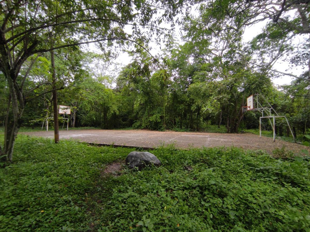 CASA 49 Villa Cesi - B&B Útica