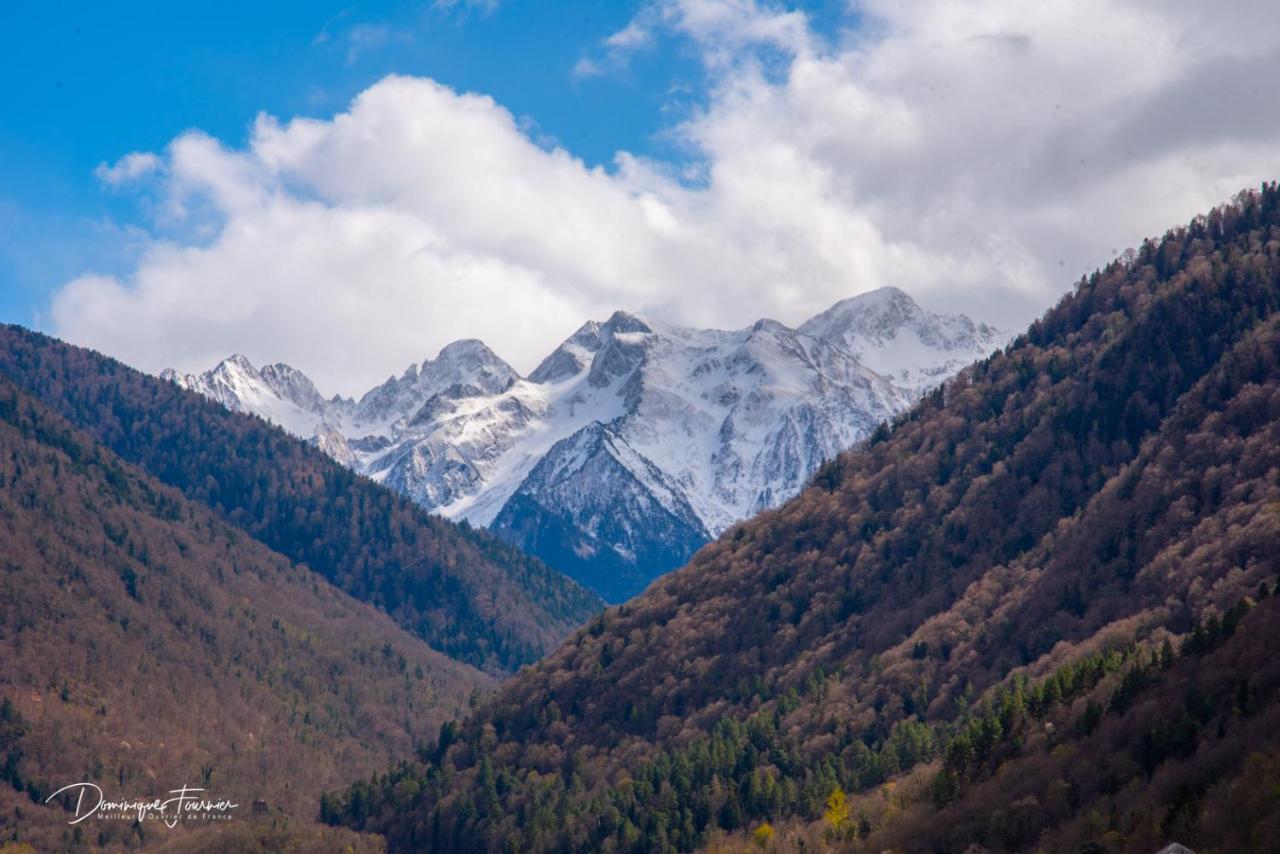 Pyrénées Palace - B&B