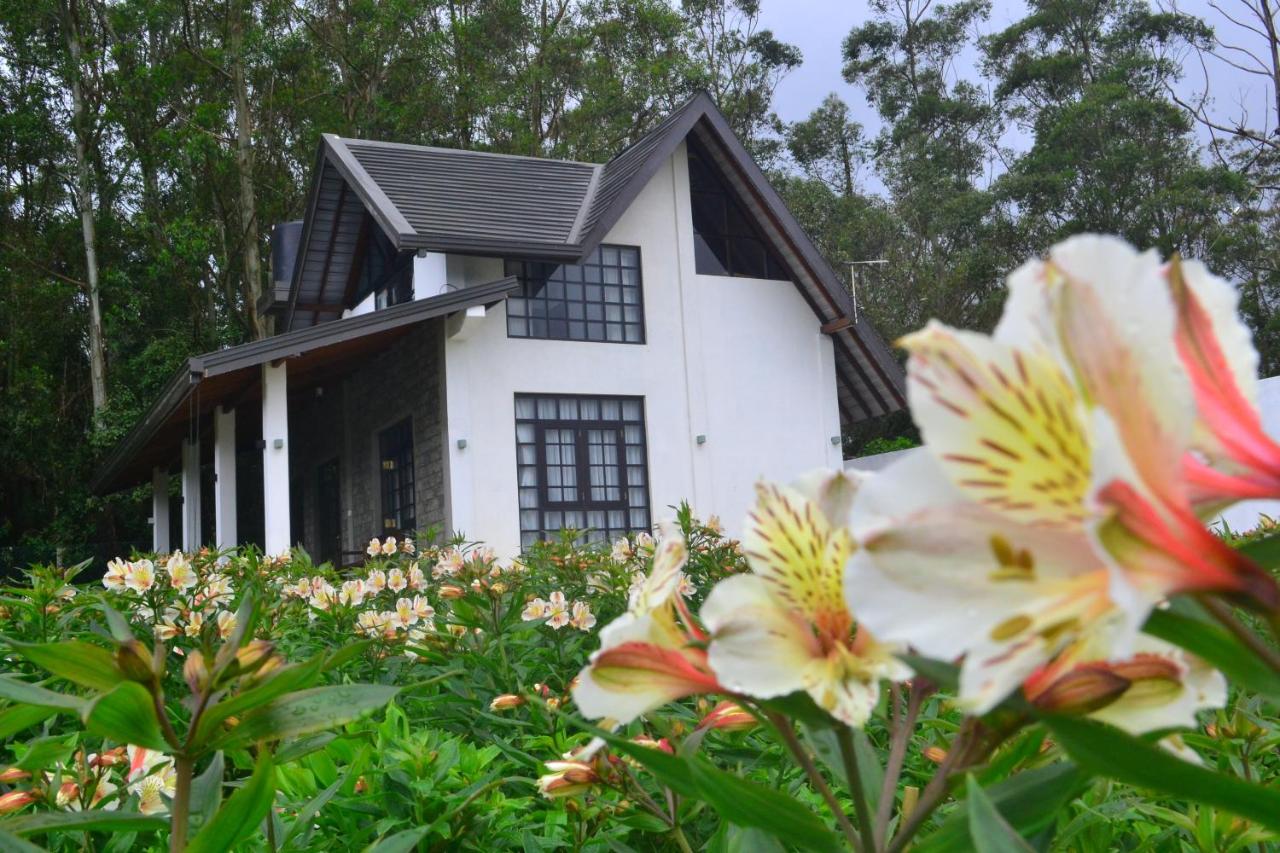 Sky Breeze Nuwara Eliya, Sri Lanka - Ferienwohnung Nuwara Eliya