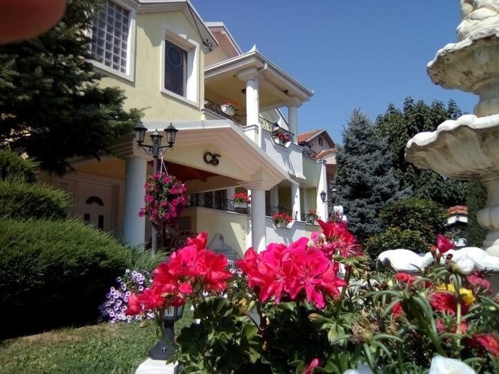 Villa Kraljevski - B&B Kumanovo