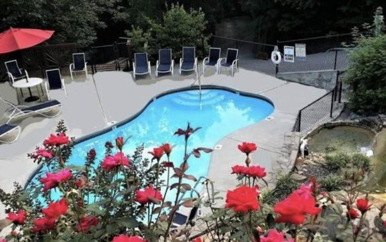 Experience the Allure of Almost Paradise Where Bliss Awaits - Chambres d’hôtes Gatlinburg