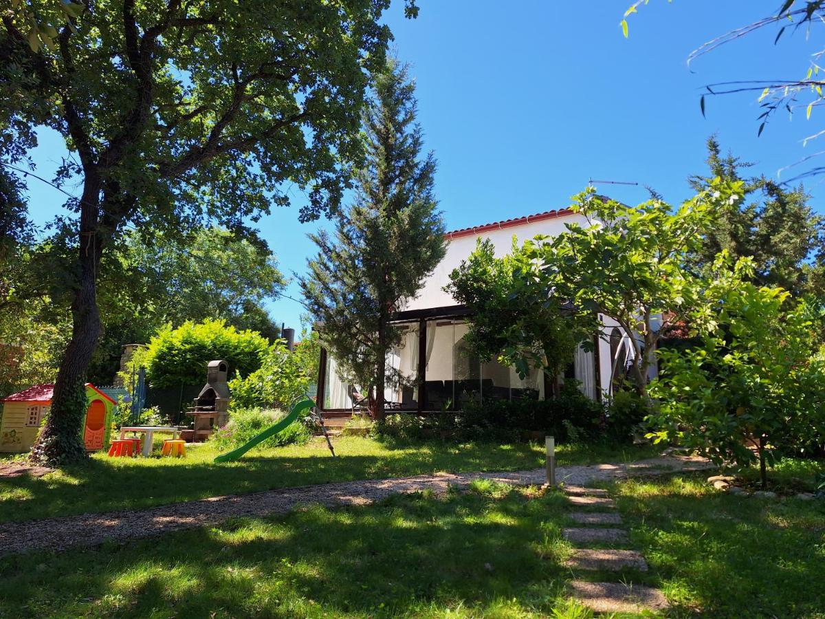 B&B Pavicini - Holiday home Istra - Bed and Breakfast Pavicini