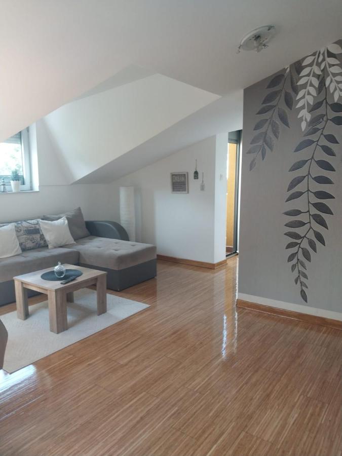 Apartman Savic - Bed and Breakfast Vrnjačka Banja