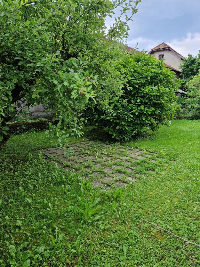 GreenFamilyAppartment near Ljubljana - Bed and Breakfast Domžale