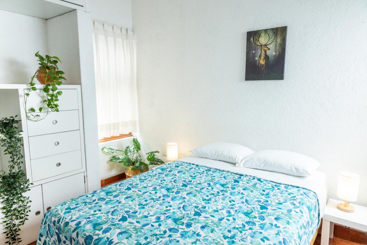 Double Room with Shared Bathroom