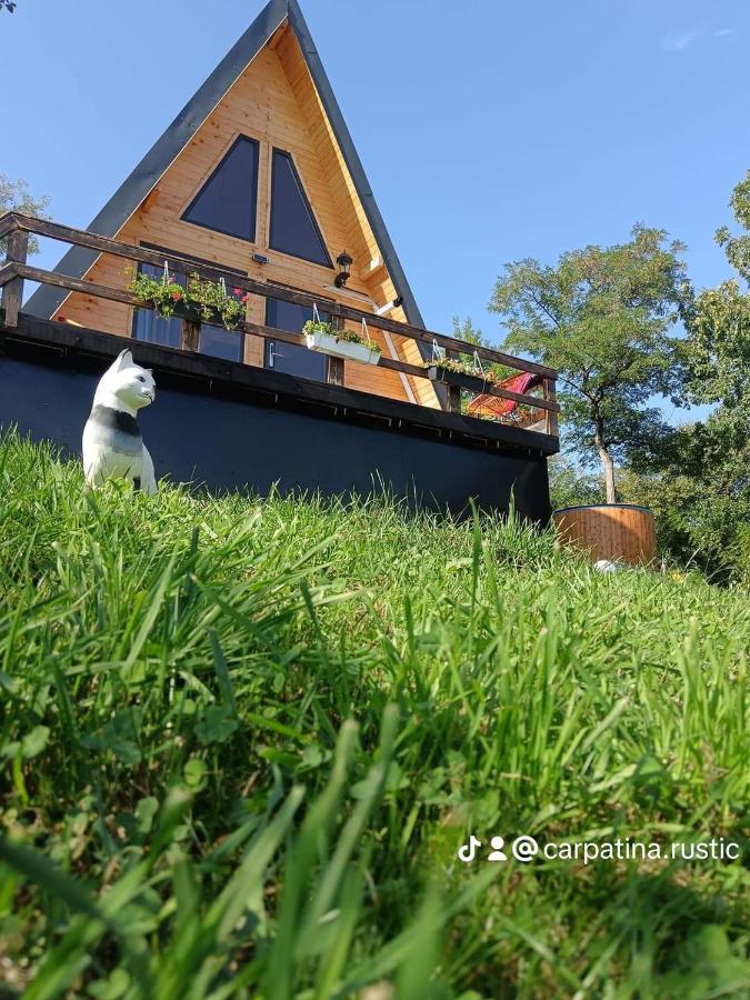 Cabanuta Tip A Runcu-Sinaia - Ferienwohnung