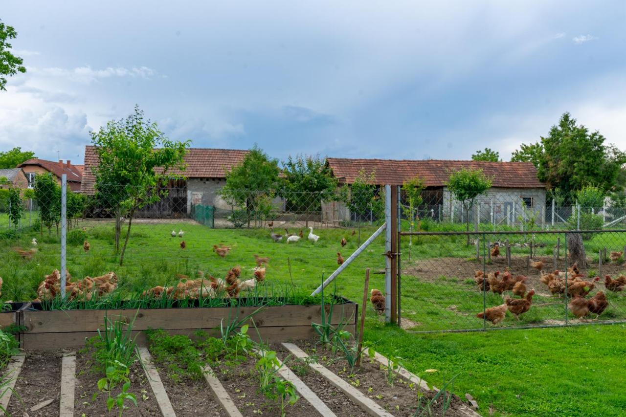 Kuća za odmor Marof - Ferienwohnung