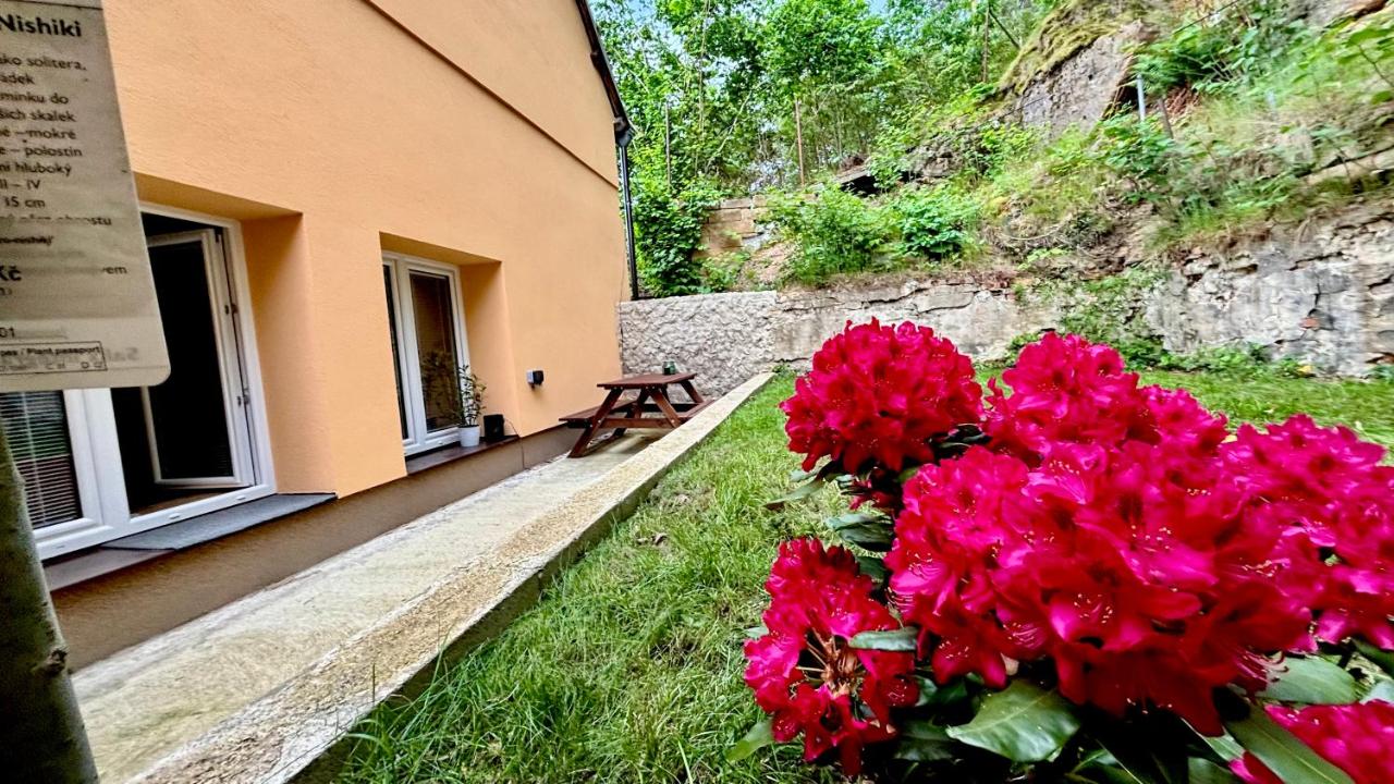 Remote Work Friendly Zahradní apartmán u jezera - B&B Staré Splavy