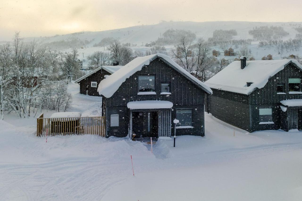 Bäcköra Hamrafjället - B&B Tänndalen