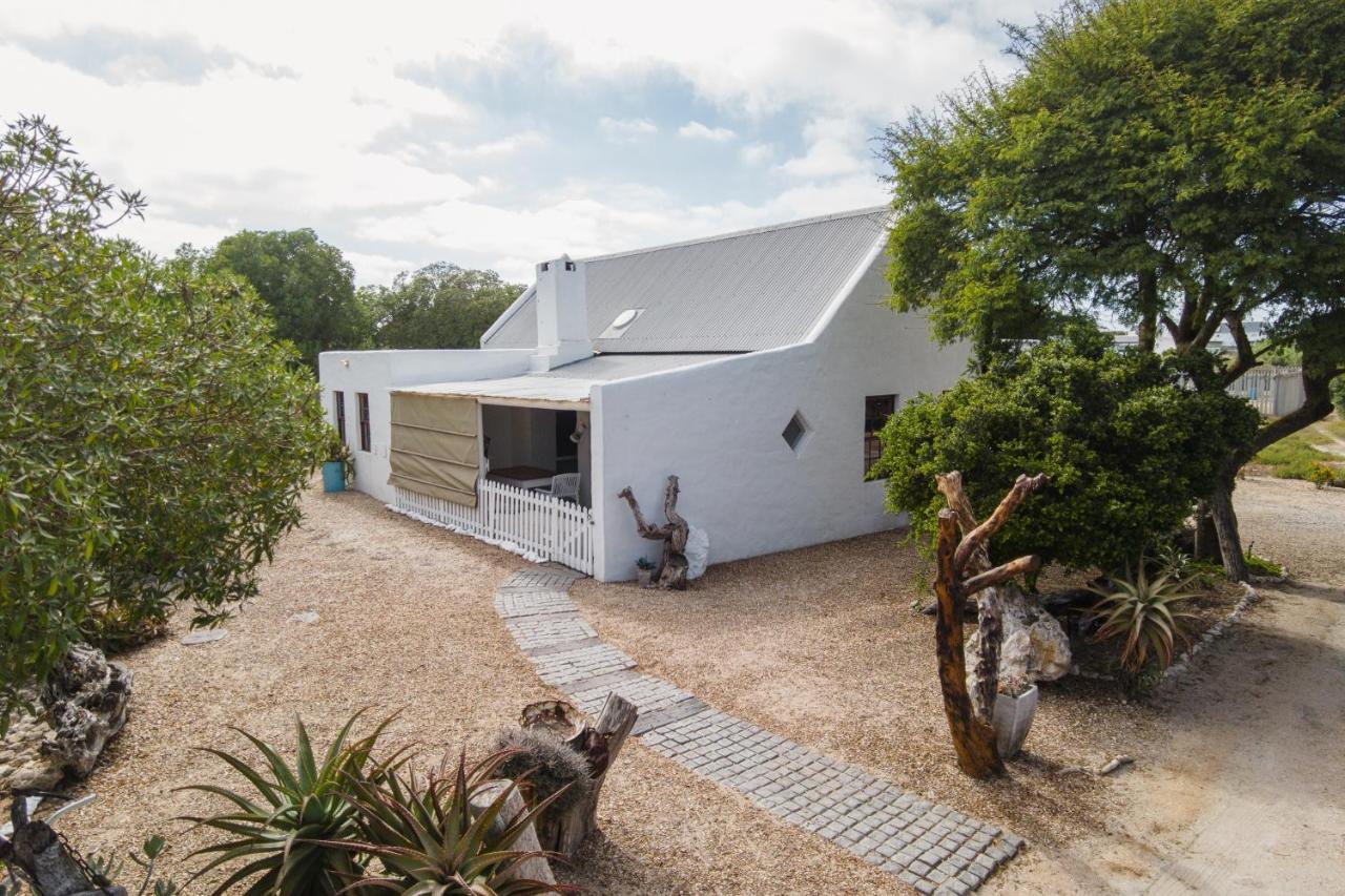 Oom Ben - B&B Paternoster