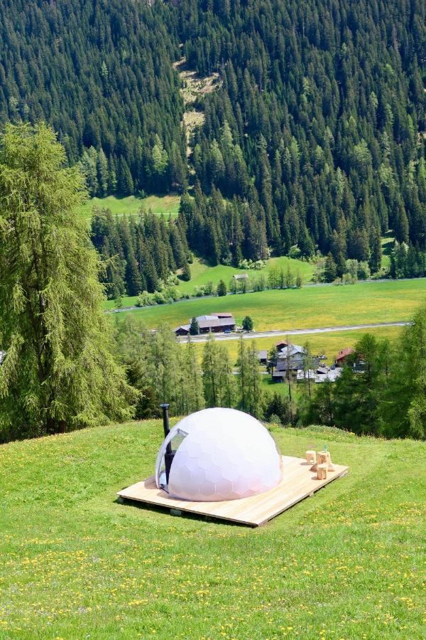Naturedome Hof Camenisch - B&B