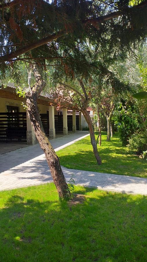La Avocați - Bed and Breakfast Vama Veche