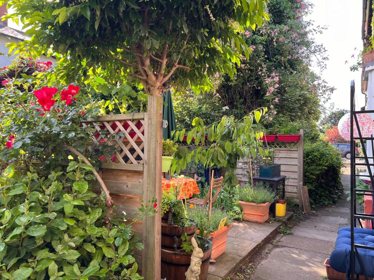 UNIQUE beautiful peaceful conservation area - 20m to town - Bed and Breakfast