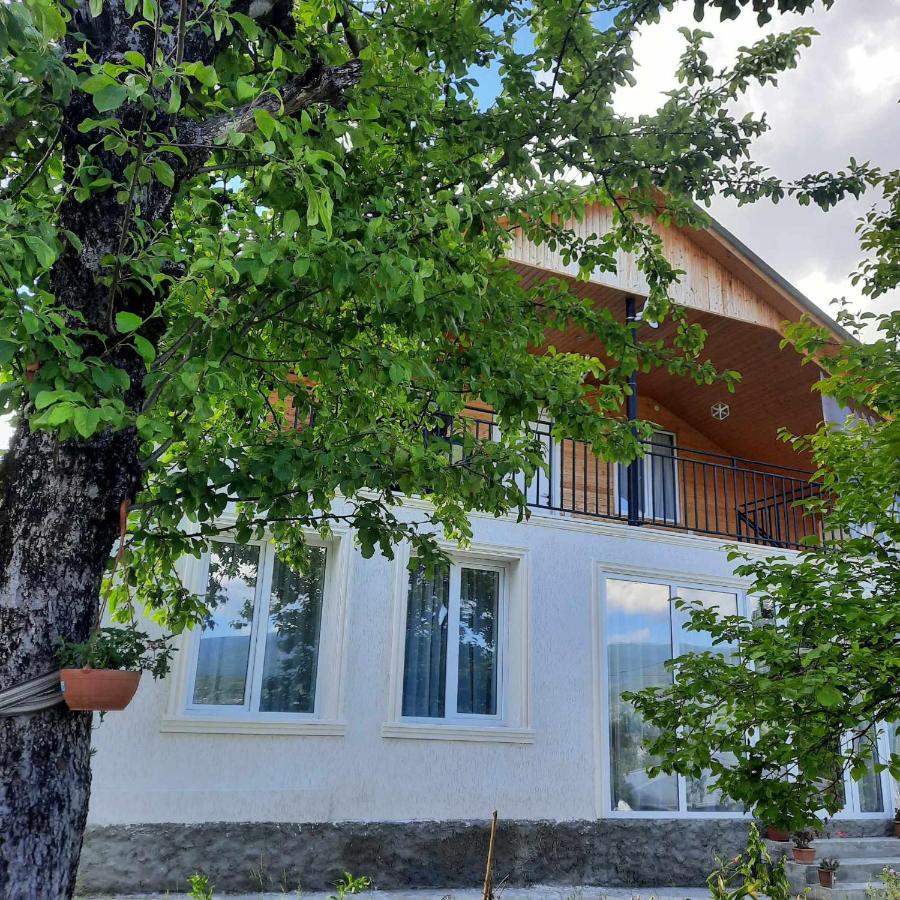 Akidoni - B&B Ambrolauri
