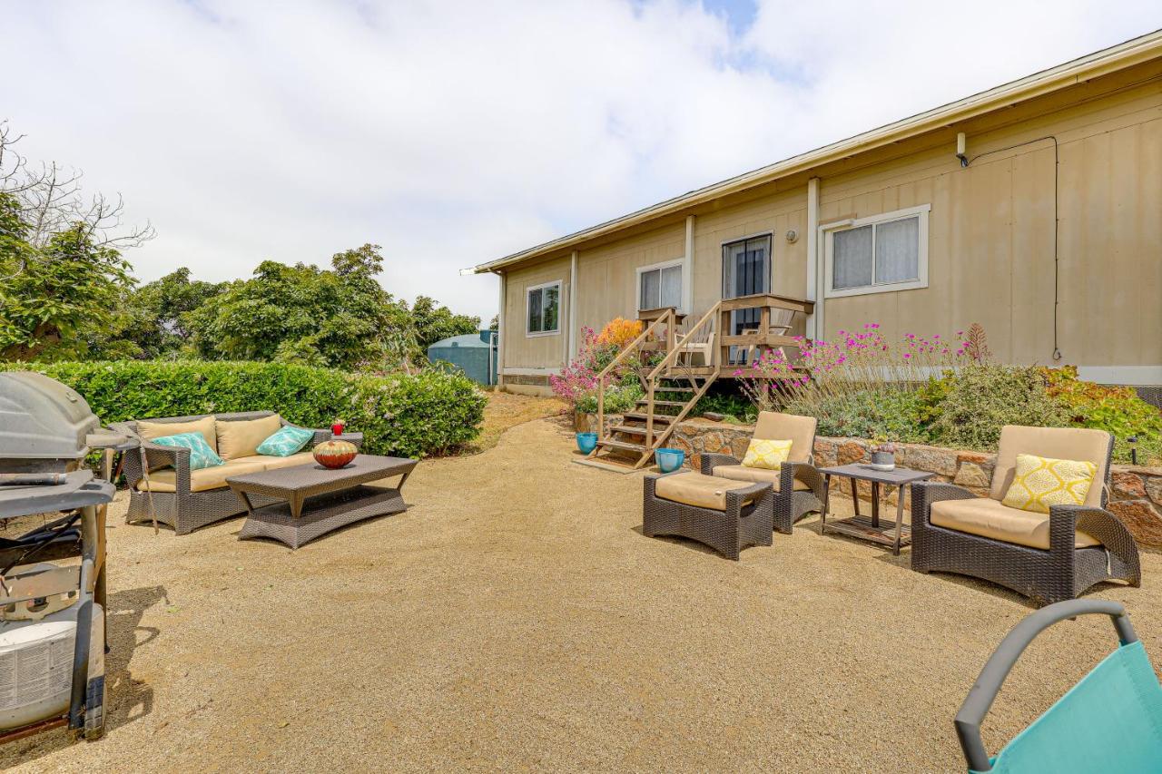 Escondido Vineyard Estate Walk to Wineries! - B&B