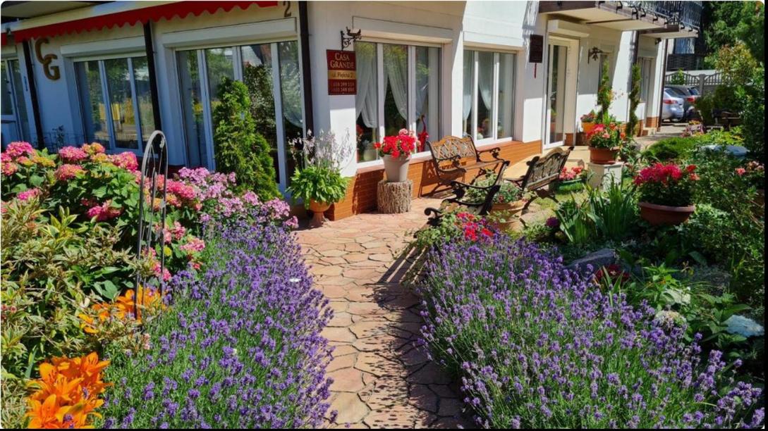 Doppelzimmer mit Gartenblick